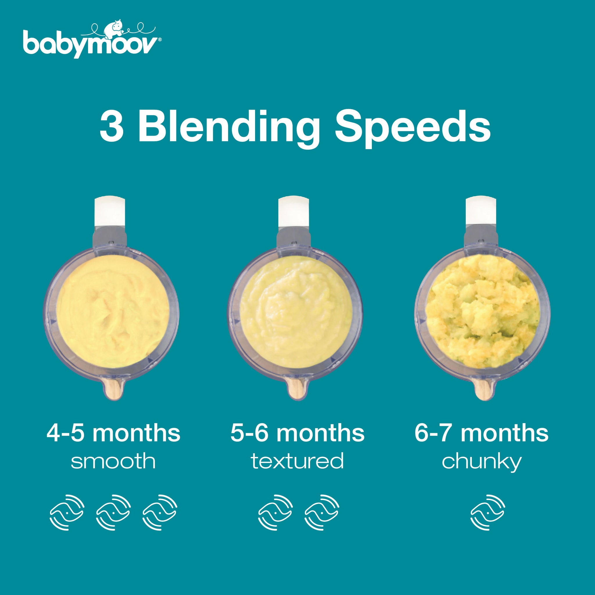 Find out more: Babymoov Nutribaby(+) - Opal Green 